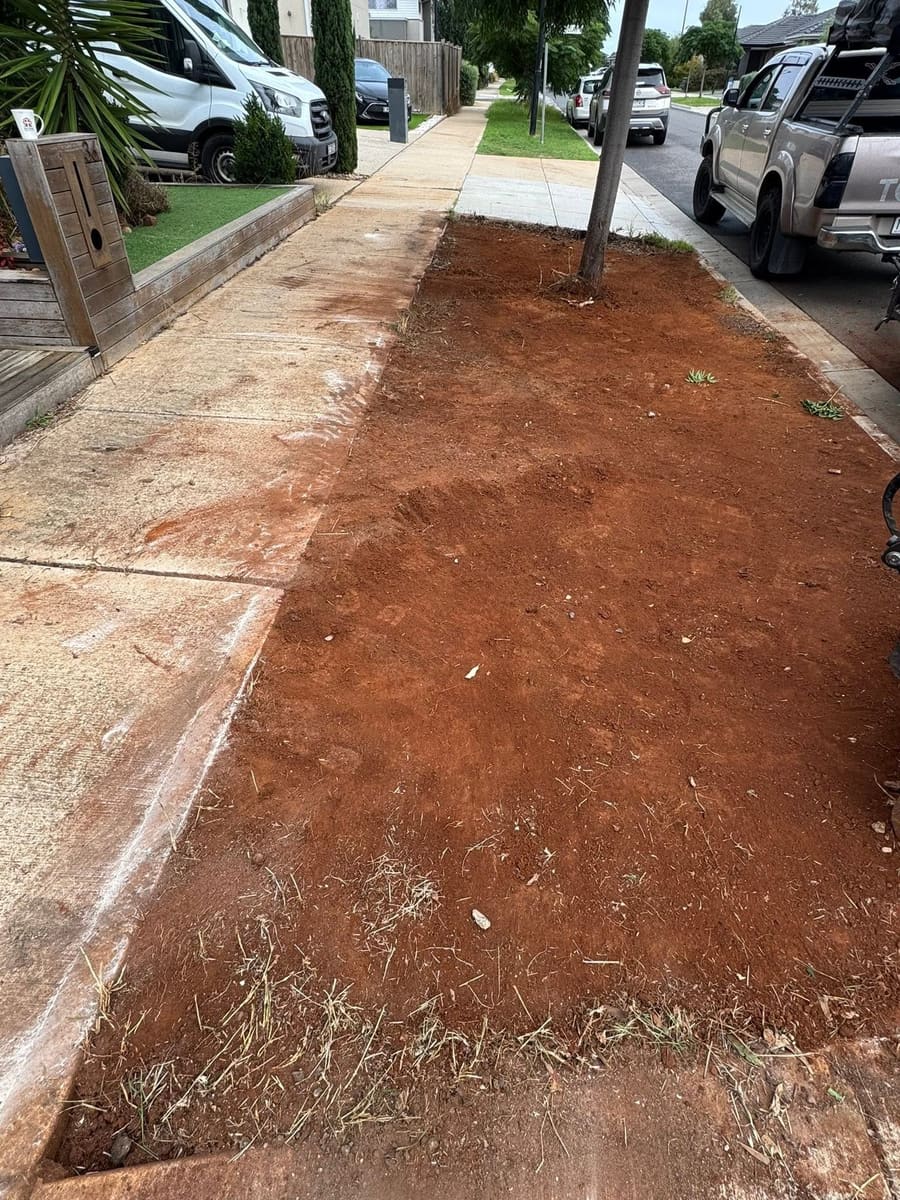A suburban nature strip after clearing — stripped back to bare, level soil with a clean edge along the footpath.